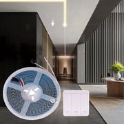 Striscia Led Luminosa light running cammina 24V da 5mt 59 Watt con controller luce bianca fredda 6500k