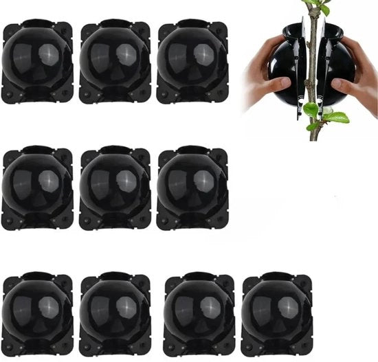 10 impianti per piante - impianto per radici di piante - attrezzatura per radici di piante Stecchi per entare e allenamento radicale Piante 8cm (Nero)