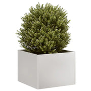 Fioriera 40x40x30 cm in Acciaio Inox 860798