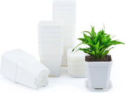 Sacchi rifiuti 100L - 20 pezzi - Resistente e Riciclabile - Sacchi rifiuti ecocompatibili per uso domestico e commerciale