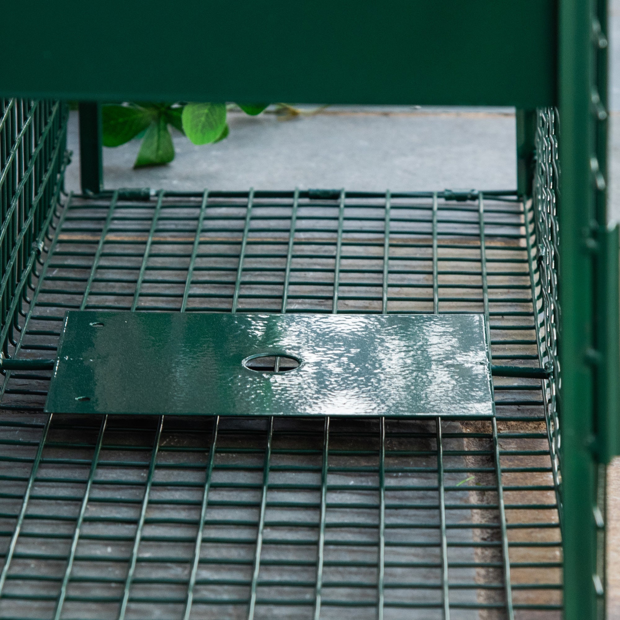 Gabbia Trappola per Animali Vivi Piccoli con Doppia Porta e Maniglia 80x25x30cm Verde Scuro