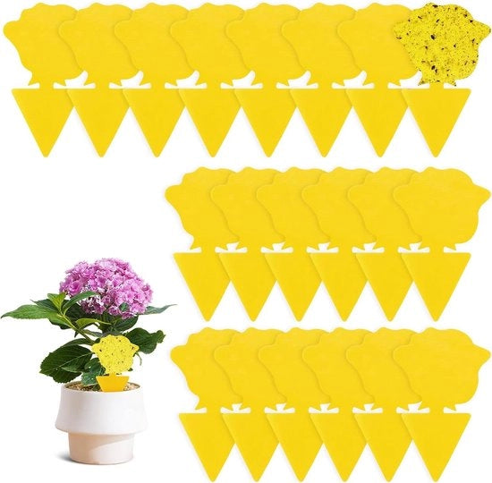 Sticker per adesivo per insetti - controllo zanzare - adesivi per insetti - trappola per insetti insetticida - adesivi per insetti per piante da interni esterni
