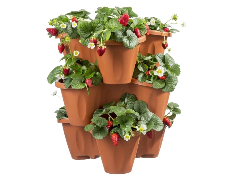 VASO TRIFOGLIO BAMA - PP TERRACOTTA D.CM 40 H.CM 16- 3 pezzi