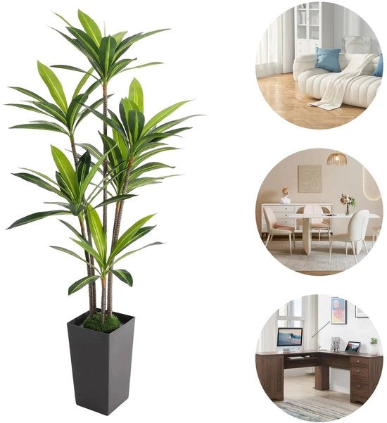 Dracaena 180cm con vaso, albero finto, falso albero, tessuto in microfibra grigio verde mossa, per interni e esterni