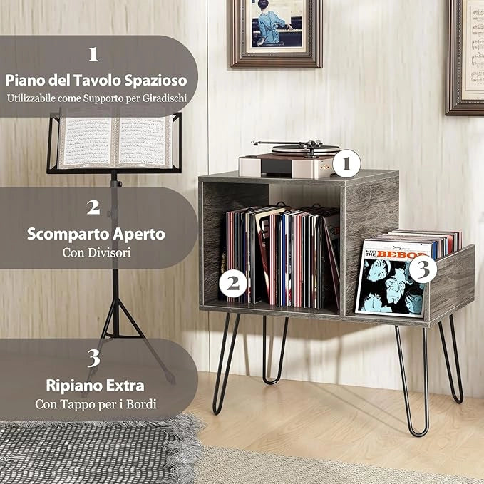 Supporto per Giradischi con Presa di Corrente, Espositore per Dischi con Presa di Corrente e Porta USB, capacità Fino a 145 Album, per Soggiorno e Camera da Letto, 66 x 45 x 67 cm (Grigio)