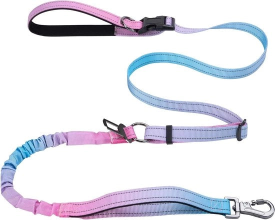 Cinturino per Cani Riflettente con Strisce - Adattabile per Cani Piccoli, Medi e Grandi - Blu/Rosso