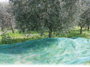1pz rete per olive antispine   mt. 5x10 cod:ferx.vit24776