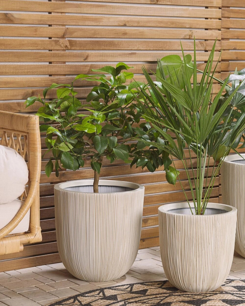Vaso per fiori Fioriera alta in poliresina beige 38 x ø 37 cm Accessori per decorazioni per interni e interni moderni e minimalisti