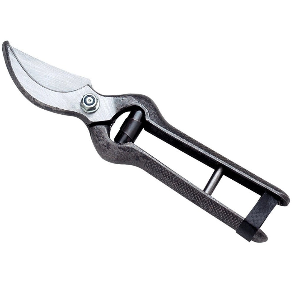 Ausonia forbice da vigna professionale 25 cm in acciaio forgiato e temprato
