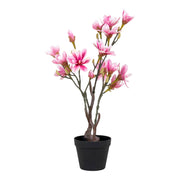 Pianta Artificiale Magnolia, Rosa, Polietilene, 30x40x75 cm