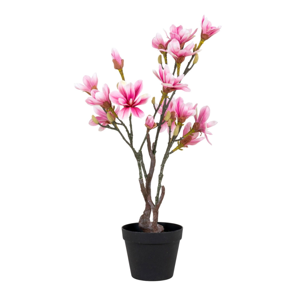 Pianta Artificiale Magnolia, Rosa, Polietilene, 30x40x75 cm