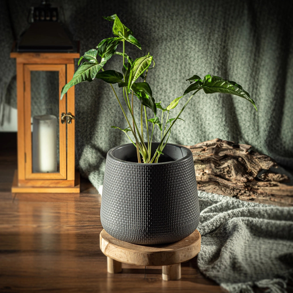 Vaso da fiori KADAX con supporto, 13 cm, coperchio in sughero, supporto per fiori, grigio