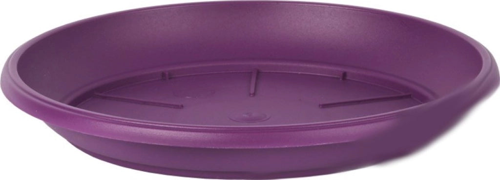 Piatto Per Vaso Similcotto Spazz Diametro 25 Viola Set 5 Pezzi - Arca