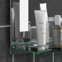 kleankin Specchio per Bagno con Luce LED Regolabile a 3 Colori e Mensola in Vetro, 50x12x70 cm, Argento