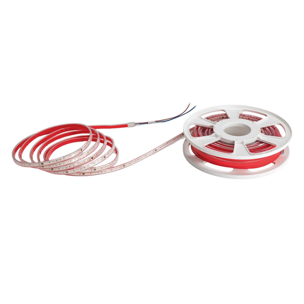 STRIP LED SMD 220V 8W 800LM PER MT  6500K pf>0.5  ROTOLO DI 20MT