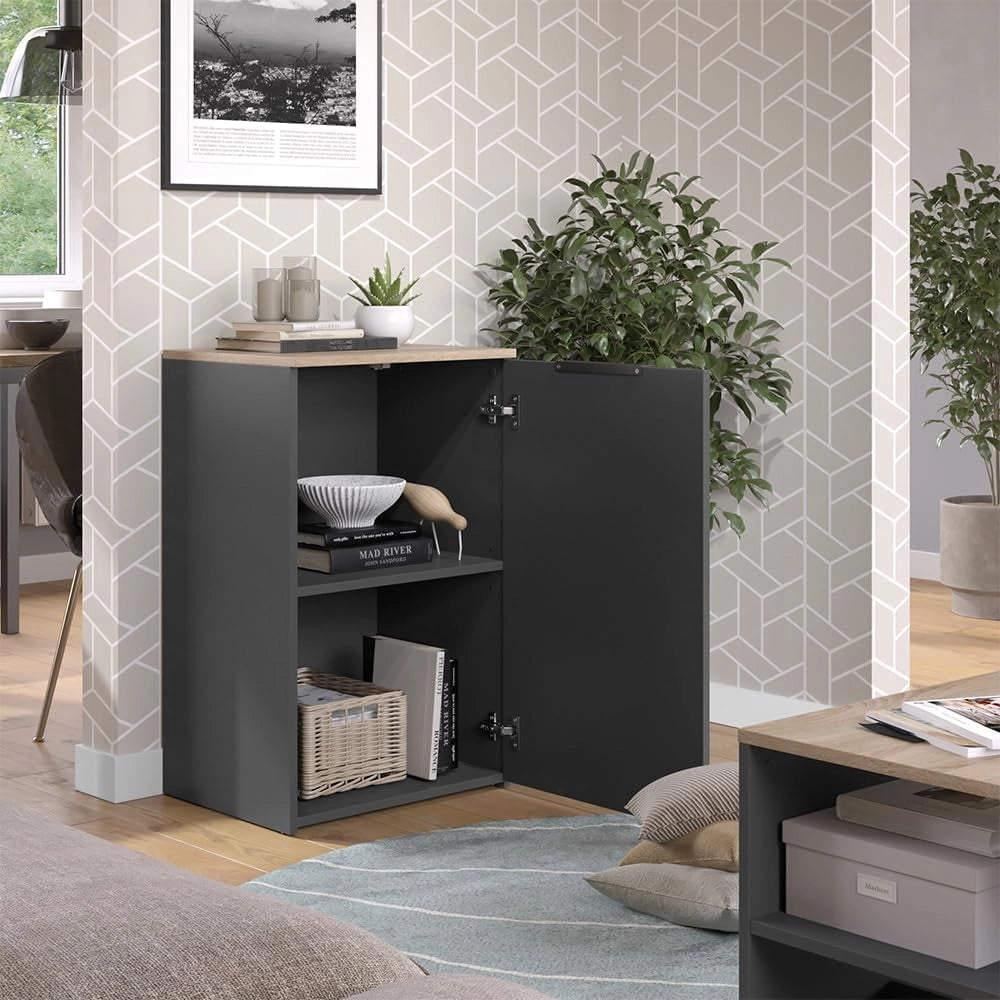 Credenza Wido, Antracite, 50 x 80 cm con ripiano, per la conservazione e l'organizzazione salvaspazio