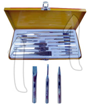 SET DI CACCIASPINE E SCALPELLI SCALPELLO14 PZ. IN ACCIAIO FORGIATO E VERNICIATO.