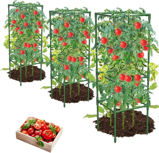 Set di 3 Sostegni Quadrati per Piante di Scalata e Fiori - Sostegni Extra Stabili e Duraturi