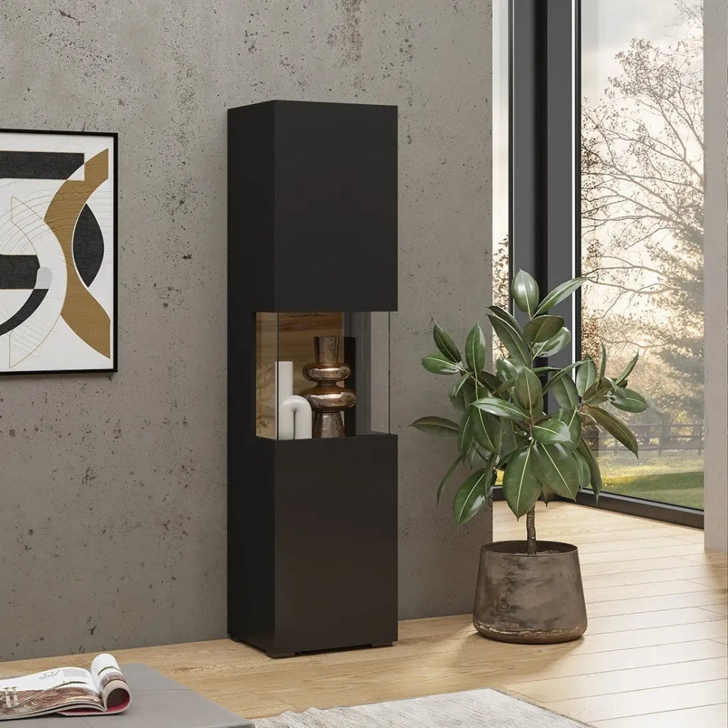 Vetrina 1 porta parzialmente vetrata collezione EVA. Colore nero e rovere.
