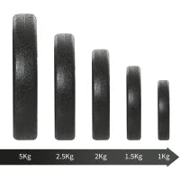 Set Manubri Palestra 30kg (8x2.5 kg, 4x1.5 kg), Pesi Palestra con 12 Dischi e 2 Manubri da 2 kg per Allenamento a Casa, Nero