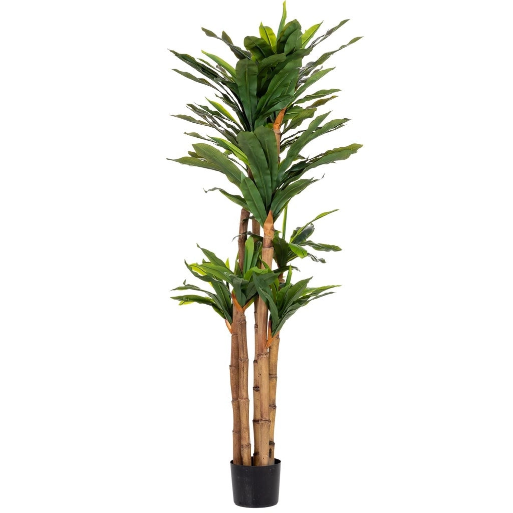 Pianta di dracena artificiale decorativa in vaso 40x30x150h cm