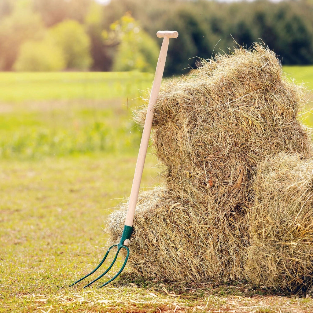 Forca KADAX per letame, fieno, paglia, giardino, a 3 rebbi, in metallo, 126 cm