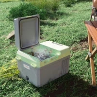 Frigo Portatile da 12 Litri con Compressore, Grigio e Verde