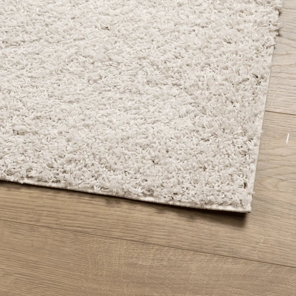 Tappeto Shaggy PAMPLONA a Pelo Lungo Moderno Crema 120x170 cm 375234