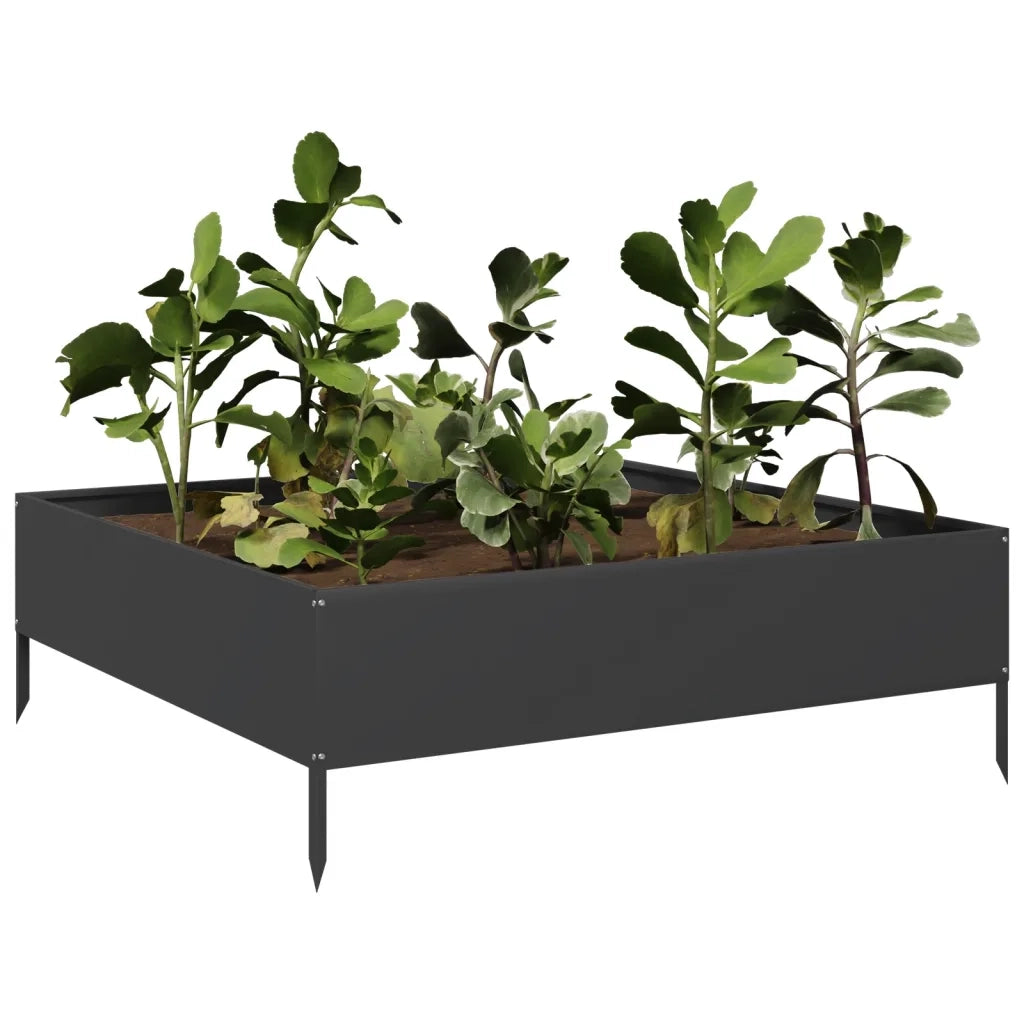Fioriera Rialzata da Giardino-Vaso da Esterno-Fioriera Elevata Nera 100x100x33,5 cm in Acciaio