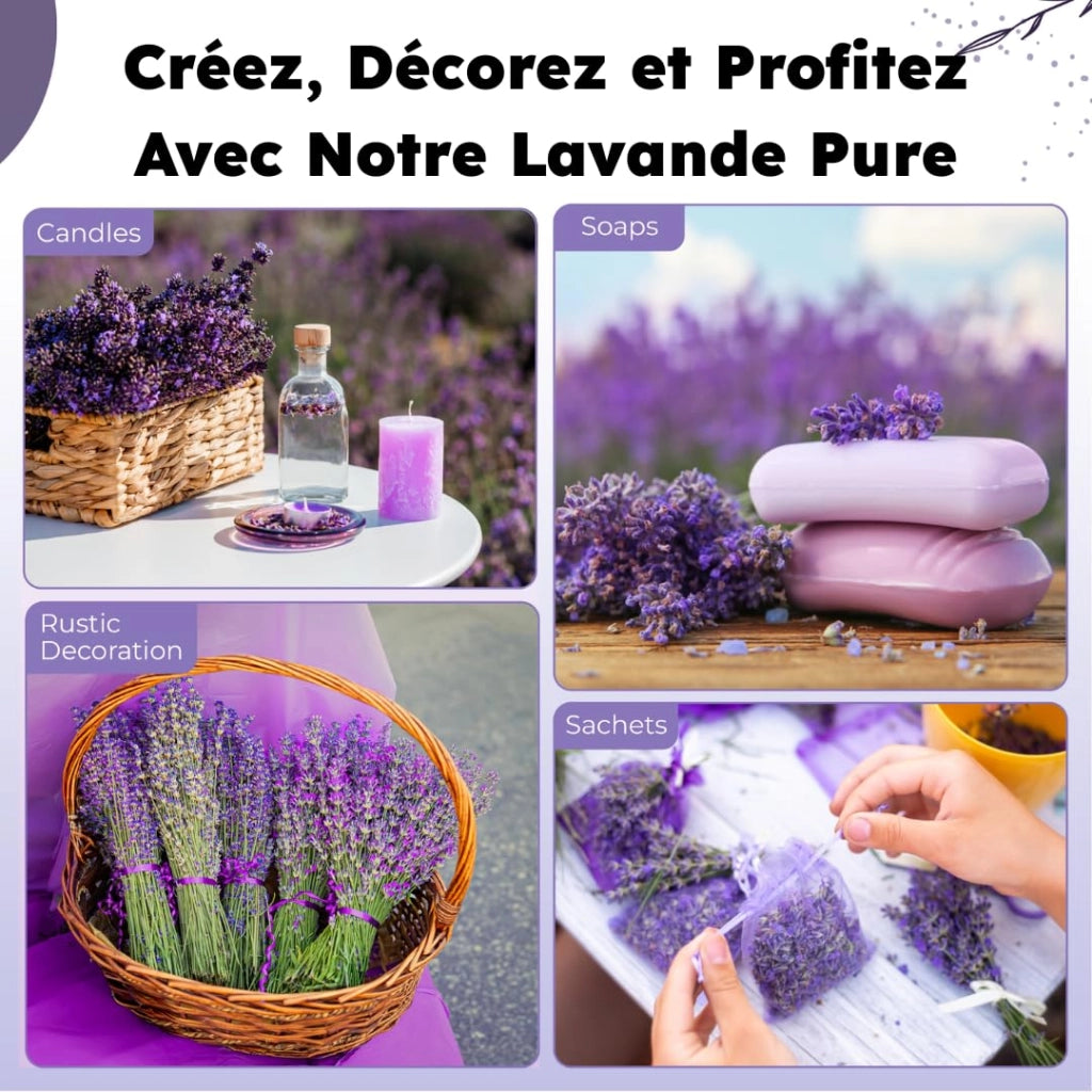 Lavanda essiccata naturalmente, 250 g, 100% pura, proveniente dalla Spagna