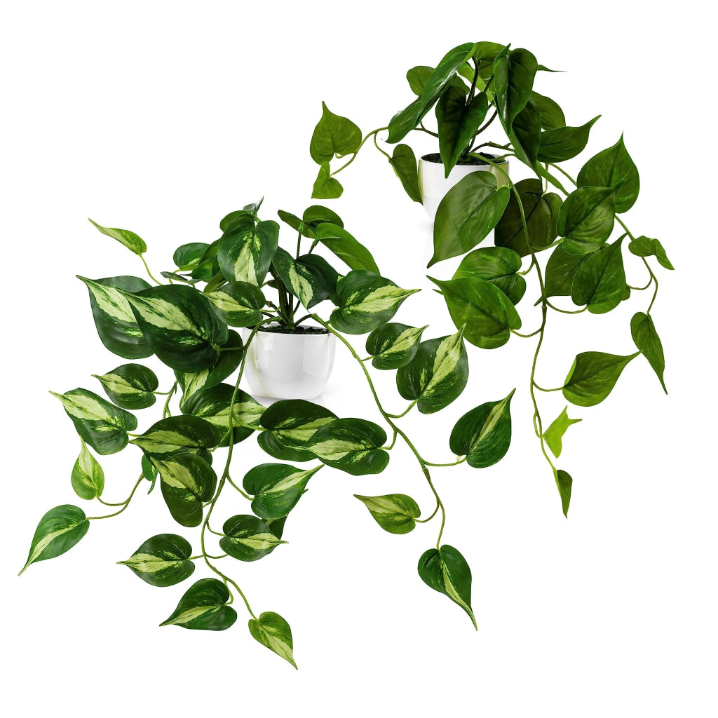 Set di piante rampicanti artificiali, composto da 2 pezzi, con vasi in Vetroceramica bianca, altezza 33 cm, da appendere