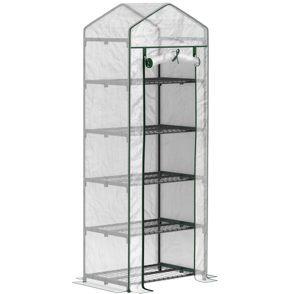 Serra compatta a 5 ripiani con copertura trasparente, 69 x 49 x 193 cm