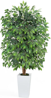 Ficus artificiale, altezza 180 cm, con vaso bianco