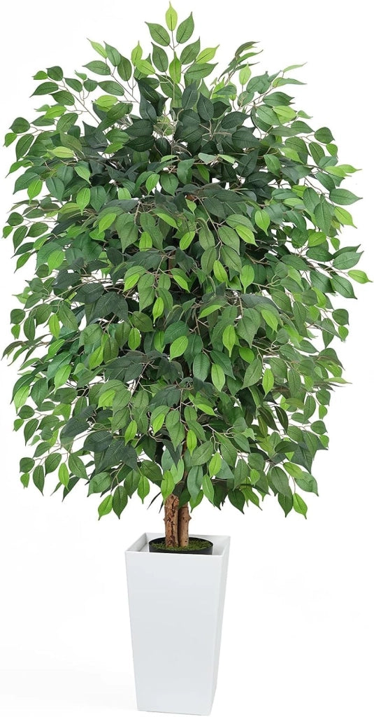 Ficus artificiale, altezza 180 cm, con vaso bianco
