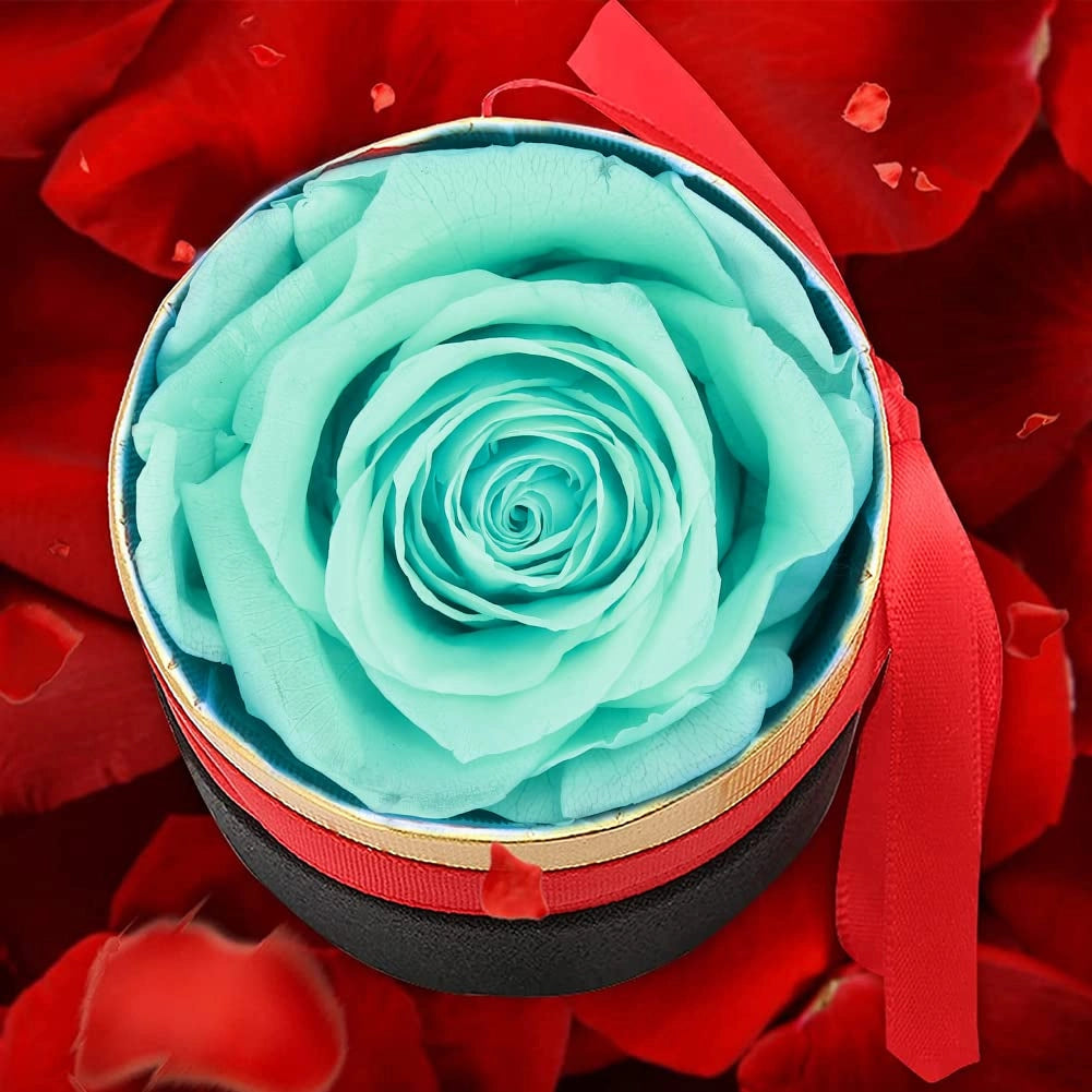 Rosa conservata in scatola regalo – Rosa eterna per Festa della Mamma, matrimonio, anniversario – Mini scrigno con rosa vera