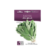 Salvia DB