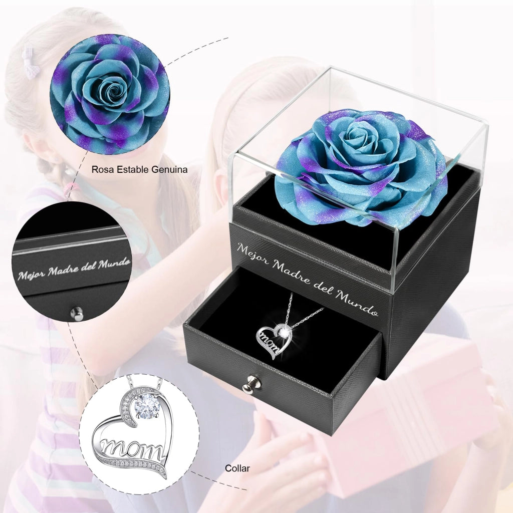 Rosa eterna con collana: vera rosa conservata, confezionata in una scatola regalo