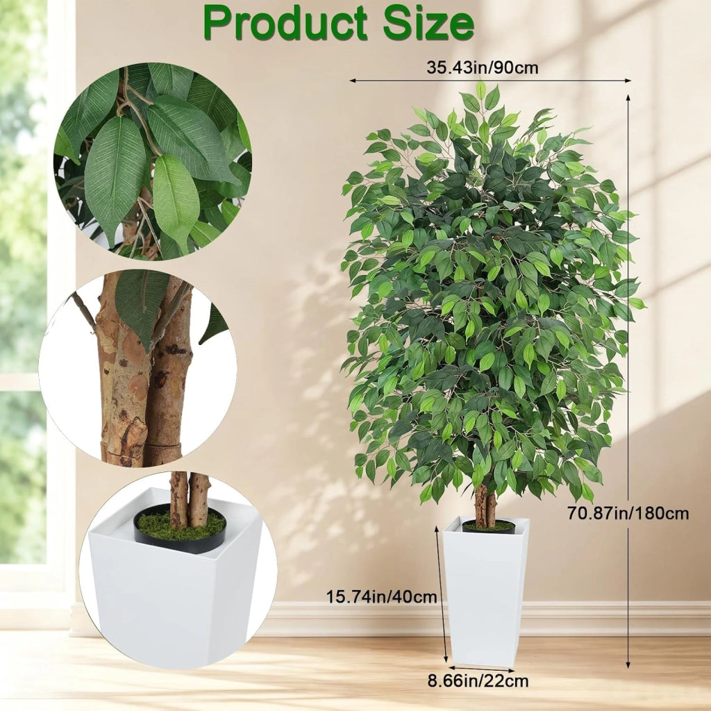 Ficus artificiale, altezza 180 cm, con vaso bianco