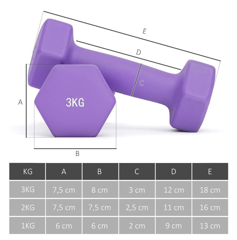Set di manubri con supporto 2 x 1 kg 2 x 2 kg 2 x 3 kg, rosa e blu