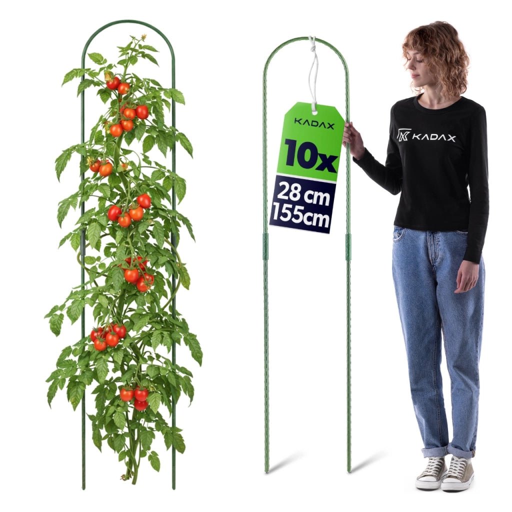 10 Supporti ad Arco in Acciaio 11 mm 33x150 cm