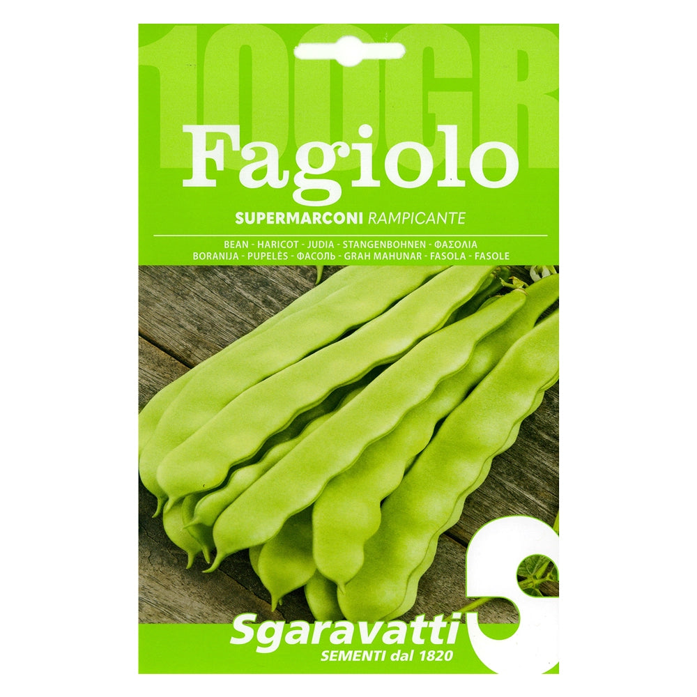 SEMI PER FAGIOLI fagiolo rampicante supermarconi - gr 250