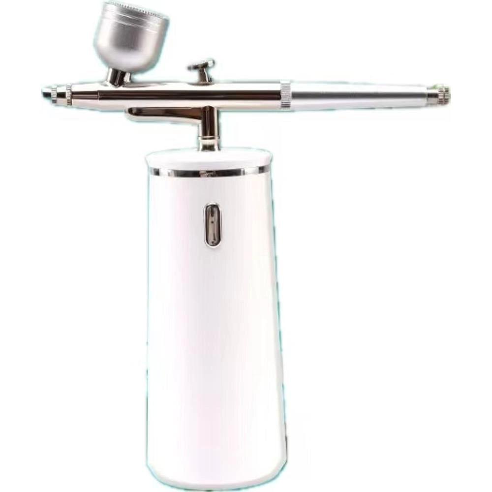 Nebulizzatore Viso Nano Portatile Ricaricabile USB Spruzzatore Idratante Compatto per Acqua ed Essenze