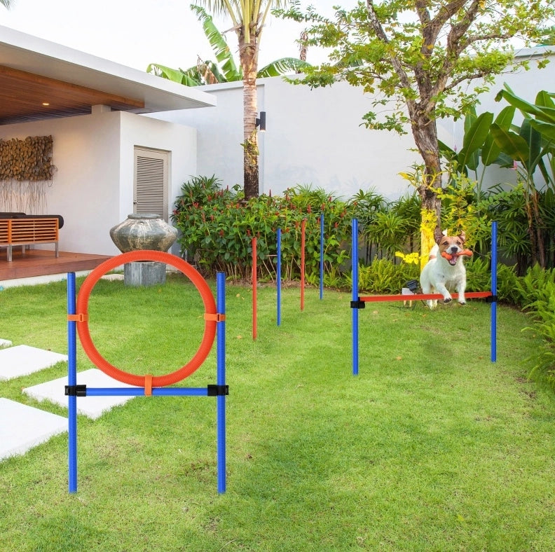 SET Agility per cani con slalom, ostacoli e anello, altezza regolabile, blu