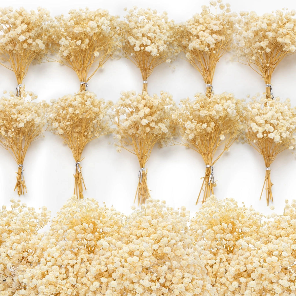 100 fiori secchi di Gypsophila artificiale, facili da curare, di colore giallo