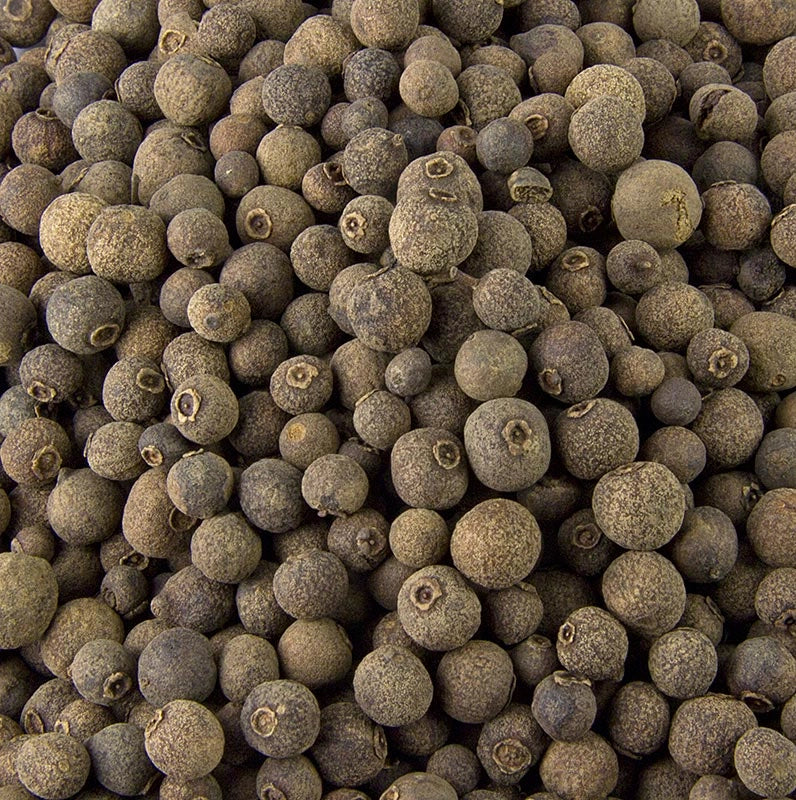 Pimenta dioica, pepe della Giamaica vaso 16 H80cm