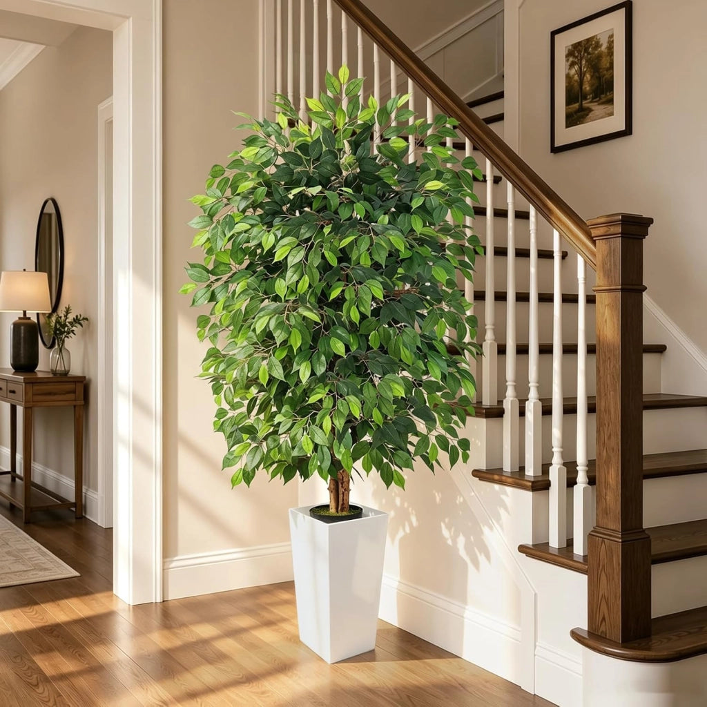 Ficus artificiale, altezza 180 cm, con vaso bianco