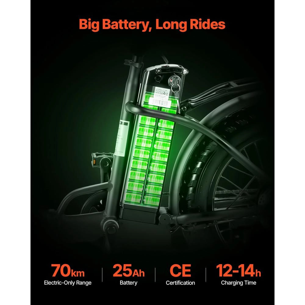 VES623 Bici Elettrica Pieghevole 250W 36V, Batteria Rimovibile 25Ah, Cambio a 7 Velocità, Autonomia 70 km, in Lega di Alluminio