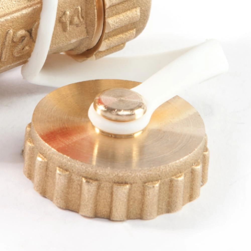 Valvola a sfera da 1/2 pollice (DN15) per caldaie, in ottone, con leva in nylon