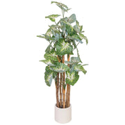 Pianta alocasia decorativa artificiale verde 65x50x150h cm