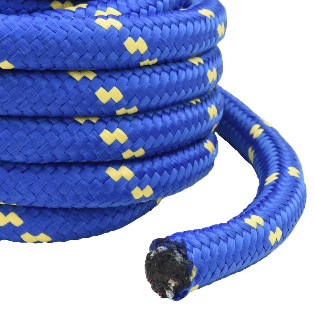 Corda multiuso 30 mm 25 m Blu PP 5400 kg Carico massimo 3473312
